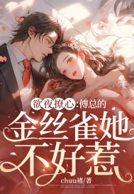 《欲夜撩心:傅总的金丝雀她不好惹》小说封面