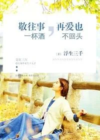 《敬往事一杯酒,再爱也不回头》小说封面