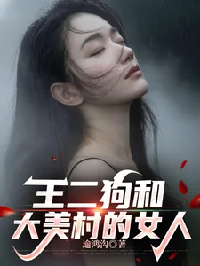 《王二狗和大美村的女人》小说封面