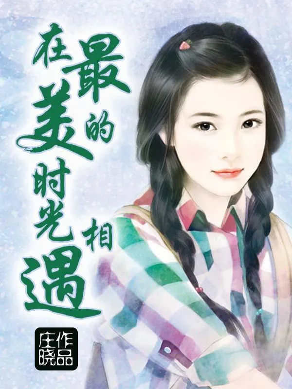 《在最美的时光相遇》小说封面