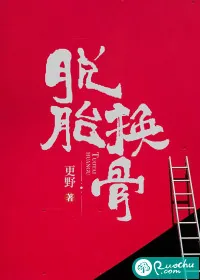 《脱胎换骨》小说封面