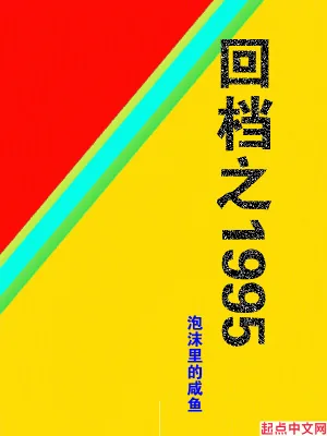 《回档之1995》小说封面