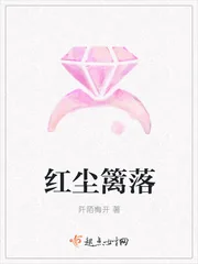 《红尘篱落》小说封面