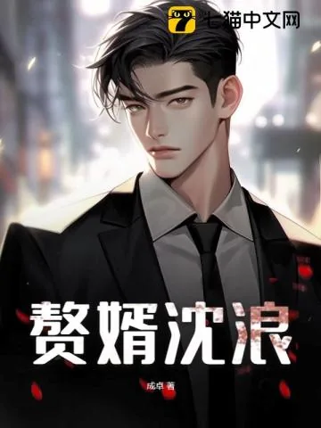 《赘婿沈浪》小说封面