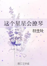 《这个星星会撩琴》小说封面