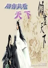 《陪你共看天下》小说封面