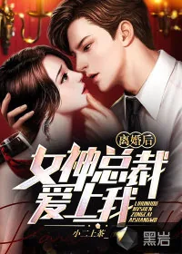 《离婚后，女神总裁爱上我》小说封面