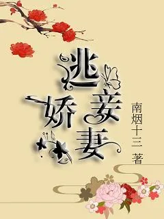 《逃妾娇妻》小说封面