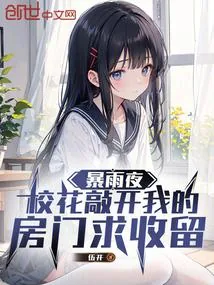 《暴雨夜，校花敲开我的房门求收留》小说封面