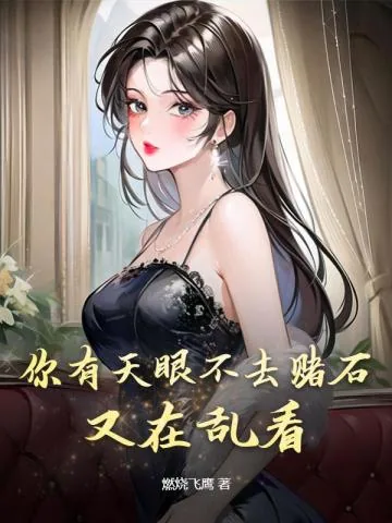 《你有天眼不去赌石，又在乱看》小说封面