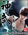 《神武》小说封面