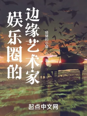 《娱乐圈的边缘艺术家》小说封面