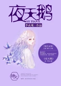 《夜天鹅》小说封面