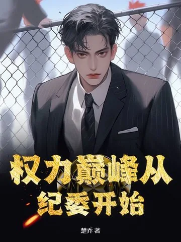 《权力巅峰从纪委开始》小说封面