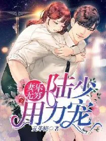 《妻乐无穷：陆少，用力宠》小说封面