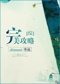 《[综]完美攻略》小说封面