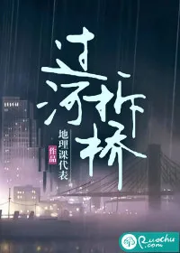 《过河拆桥》小说封面