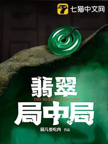 《翡翠局中局》小说封面