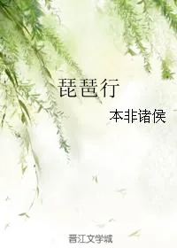 《琵琶行》小说封面