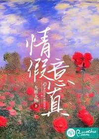 《情假意真》小说封面