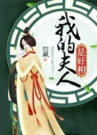 《我的夫人是奸相》小说封面