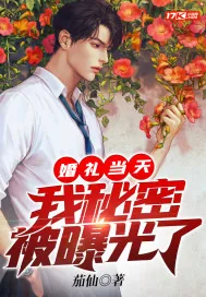 《婚礼当天，我秘密被曝光了》小说封面