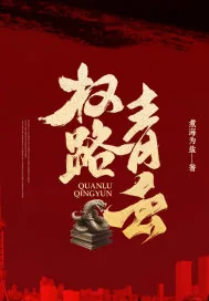 《权路青云》小说封面