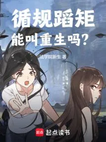 《循规蹈矩能叫重生吗？》小说封面