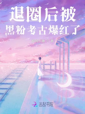 《退圈后被黑粉考古爆红了》小说封面