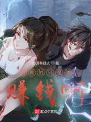 《我真的只是想赚钱啊》小说封面