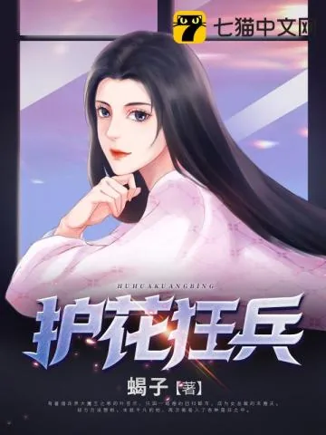 《护花狂兵》小说封面