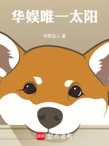 《华娱唯一太阳》小说封面