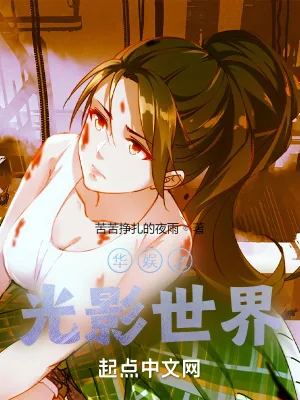 《华娱之光影世界》小说封面