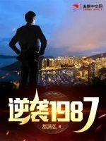 《逆袭1987》小说封面