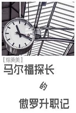 《[主HP]马尔福探长的傲罗升职记》小说封面