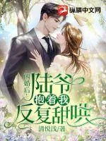 《闪婚后,陆爷抱着我反复甜哄》小说封面