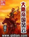 《大隋帝国风云》小说封面