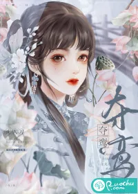 《夺鸾》小说封面