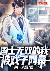 《国士无双的我,被戏子网暴》小说封面
