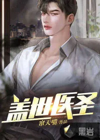 《盖世医圣》小说封面