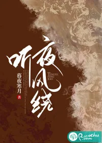 《听夜风绕》小说封面