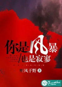 《你是风暴，也是寂寥》小说封面