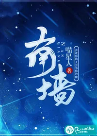《南墙》小说封面