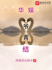《华娱爷青结》小说封面