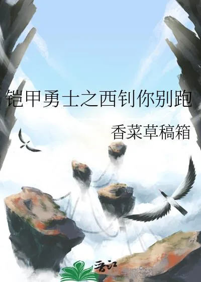 《铠甲勇士之西钊你别跑》小说封面