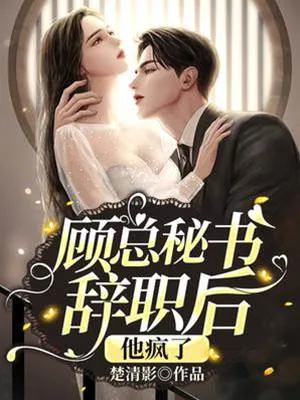 《顾总秘书辞职后,他疯了》小说封面