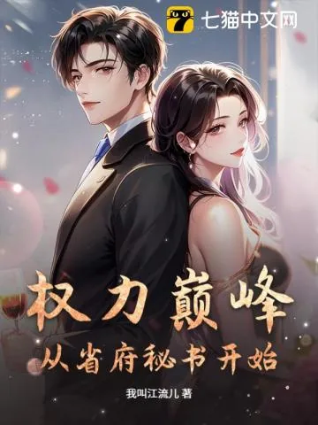 《权力巅峰：从省府秘书开始》小说封面