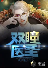 《双瞳医圣》小说封面