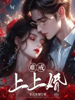 《难戒，上上婚！》小说封面