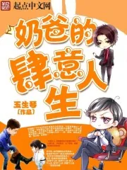《奶爸的肆意人生》小说封面